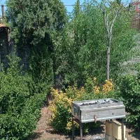 مسافر خانه مهمانسرا ساحل رشت منطقه آزاد با پارکینگ|اجارهٔ کوتاهمدت آپارتمان و سوئیت|رشت, فرزانه|دیوار