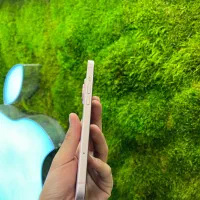 Iphone 15 plus|موبایل|اصفهان, چرخاب|دیوار