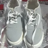 کفش|کیف، کفش، کمربند|سنندج, |دیوار