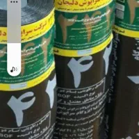 ایزوگام انگوتی