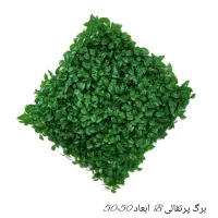 گرینوال پرتقالی|گل و گیاه طبیعی|تهران, یافت آباد شمالی|دیوار