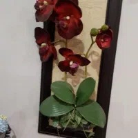 همه چوبی|حراج|اهواز, گلستان|دیوار