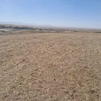 باغ انگورزمین مسکونی وزمین جهت ساخت دامداری مالوجه|فروش زمین و ملک کلنگی|دلبران, |دیوار