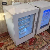 دستگاه جوجه کشی فول قیمت عمده