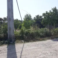 زمین فروشی ، لهرم تلوک مازندران|فروش زمین و ملک کلنگی|ارطه, |دیوار