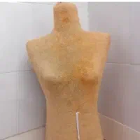 مانکن سوزن خور