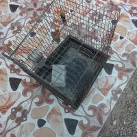 دوعدد قفس پرنده