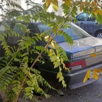 فروش اردی ۸۴ دوگانه cng فوری|خودرو سواری و وانت|دماوند, گیلاوند|دیوار