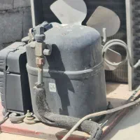 یخچال ویترینی|فروشگاه و مغازه|رضویه, |دیوار