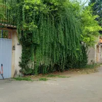 اجاره ویلا یک خواب