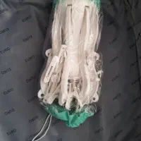 سیسمونی و کمربندبارداری