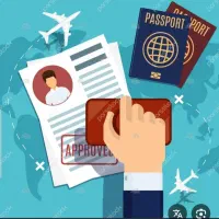 ویزا(تخصصی) تور، بلیط