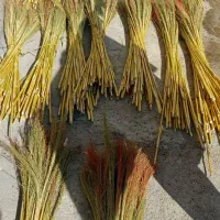 جارو خوب|لوازم نظافت|الشتر, |دیوار