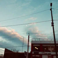 استخدام شف (آشپز)در کافه لوتوس