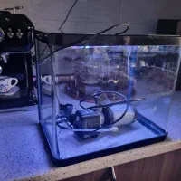 آکواریوم ماهایران شیشه خم شرکتی