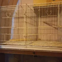 قفس پرنده در سه سایز|لوازم جانبی حیوانات|تهران, کاج|دیوار