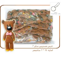 هدیه برای روز دانش آموز عمده