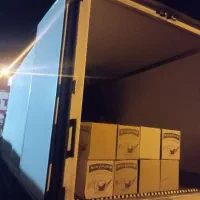 پخش تخم مرغ