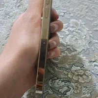 اپل iPhone 13 Pro با حافظهٔ ۲۵۶ گیگابایت|موبایل|مشکین‌دشت, |دیوار