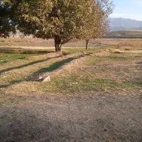 زمین گلخانه|فروش دفتر صنعتی، کشاورزی، تجاری|کرج, مهرویلا جنوبی|دیوار