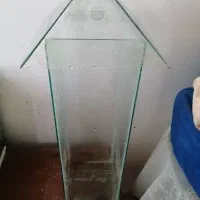 آکواریوم ماهی