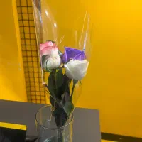 استخدام نیرو با شرایط عالی در لاویا شعبه مرودشت