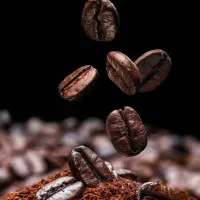 فروش دان قهوه/قهوه عمده بازار تهران|عمدهفروشی|تهران, سیروس|دیوار
