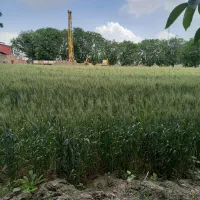 یک هکتار زمین کشاورزی دیوار به دیوار شهرک صنعتی|فروش دفتر صنعتی، کشاورزی، تجاری|سیلاخور, |دیوار