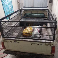 پیکان وانت مدل 89 فروشی|خودرو سواری و وانت|علیآباد کتول, |دیوار