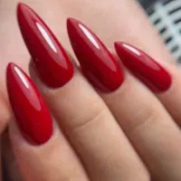 ناخن یلدایی 220