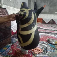 چن عدد نی انبان خوب و حرفه ای|سازهای بادی|داراب, |دیوار