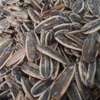 تخمه کانادایی آفتابگردان اس300