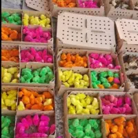 مجتمع کامل ایران اردک جوجه رنگی     محلی گوشتی