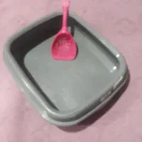 ظرف خاک گربه با بیلچه نو نو|گربه|تهران, سازمان برنامه جنوبی|دیوار