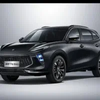 لاماری خشک 404