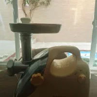 چرخ گوشت سالم و کم کار
