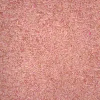گندم|خدمات باغبانی و درختکاری|دهگلان, |دیوار
