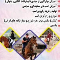 اسب سواری