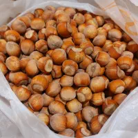 فندق درجه یک الموت قزوین