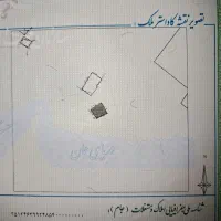 زمین روستایی هزار متری|فروش زمین و ملک کلنگی|امیرآباد, |دیوار