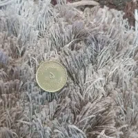 برای فروش  میباشد|کلکسیون سکه، تمبر، اسکناس|گنبد کاووس, |دیوار