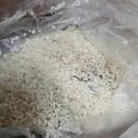 نیم دانه کاظمی