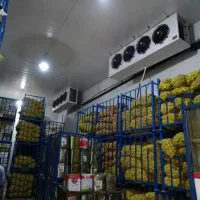 سردخانه فعال میوهجات در منطقه کشاورزی پُر محصول|ماشینآلات صنعتی|ارومیه, |دیوار