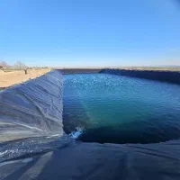 زمین کشاورزی اجاره داده میشود|اجارهٔ دفتر صنعتی، کشاورزی، تجاری|آبیک, |دیوار