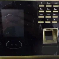 استخدام نیروی کار آقا و خانم