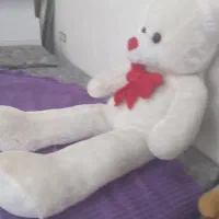 عروسک خرس سفید