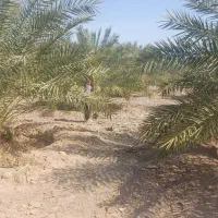 استخدام کارگر