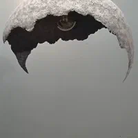 لوستر پاپبه ماشه