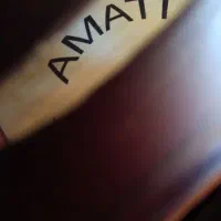 ویولن آماتی|ویولن|شیراز, سینما سعدی|دیوار