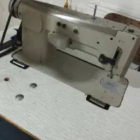 چرخ سبزو یا دانوک دوز توپیکال